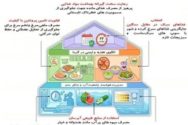 راهنمای جامع تغذیه سالمندان در تابستان